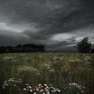 Meet your Posher, DeLaney